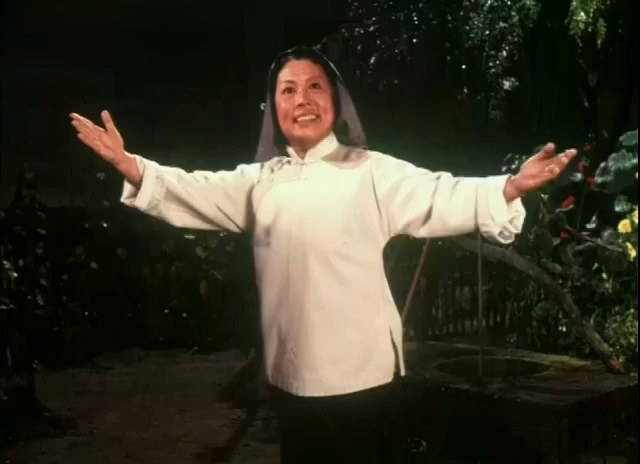 平原作战.Fighting On The Plains.1974.DVD.X264.AAC.mkv_20250615_222930.381.jpg