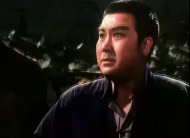 平原作战.Fighting On The Plains.1974.DVD.X264.AAC.mkv_20250615_222936.585.jpg