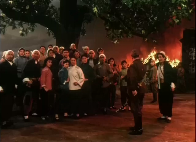 平原作战.Fighting On The Plains.1974.DVD.X264.AAC.mkv_20250615_222939.385.jpg