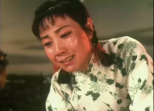 平原作战.Fighting On The Plains.1974.DVD.X264.AAC.mkv_20250615_222942.931.jpg