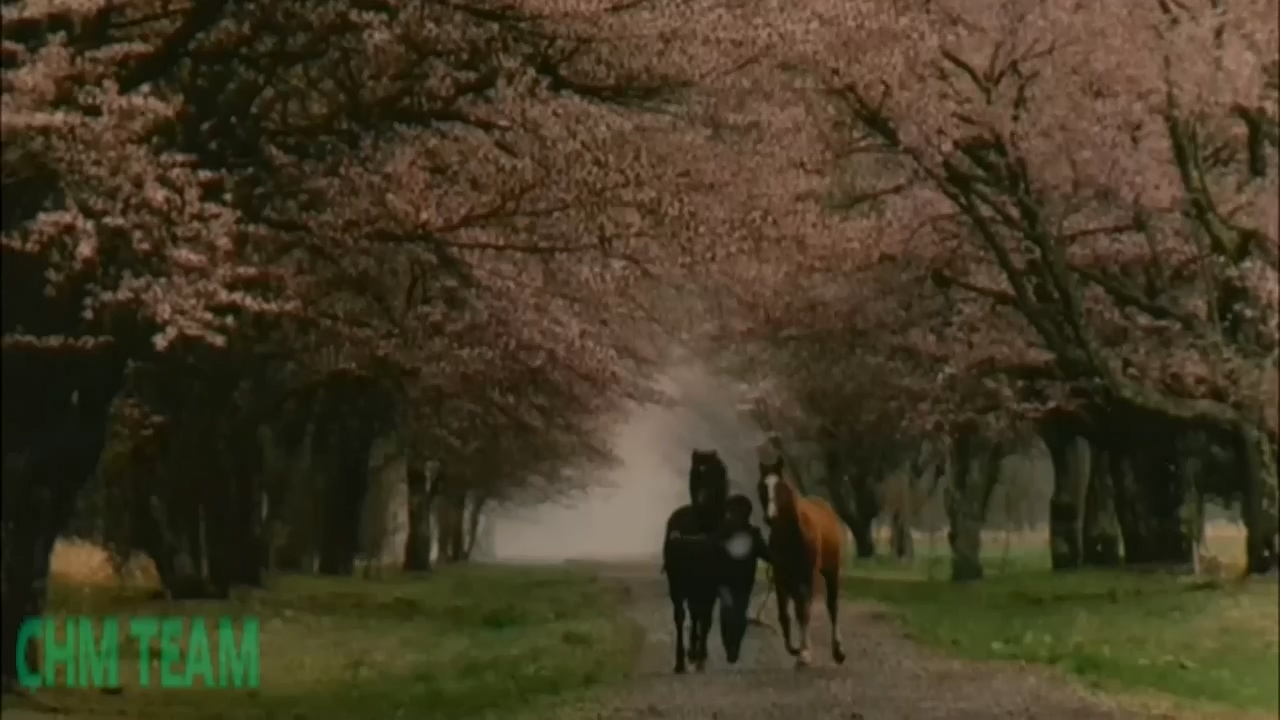 上译《优骏》东宝 DVD 2.58GB.mkv_20250617_172434.469.jpg