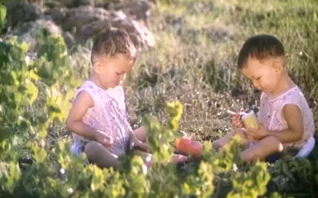 当代人.The Contemporary People.1981.DVD.X264.AAC.HALFCD(1).mkv_20250617_191910.104.jpg