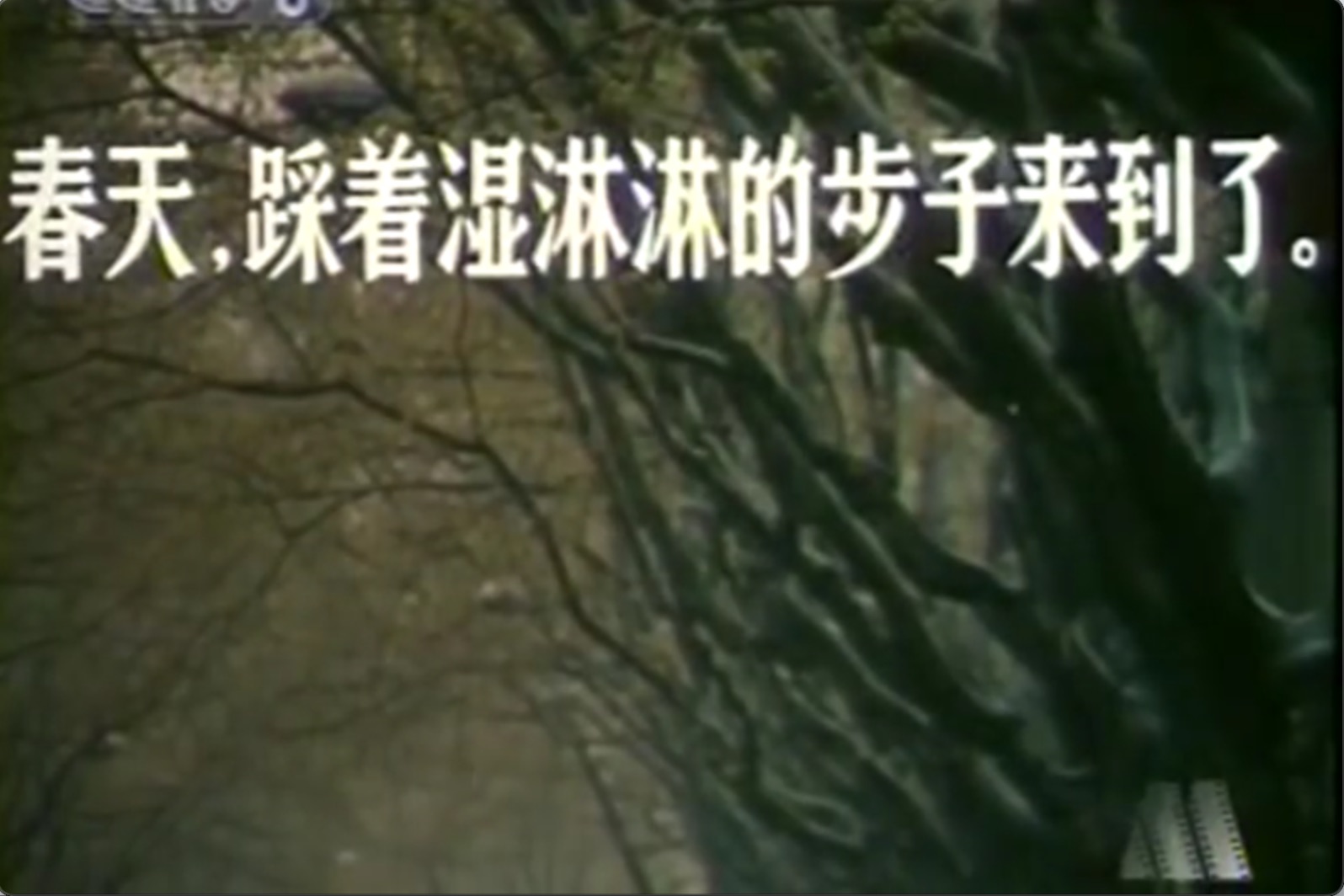 截屏2025-06-18 16.08.57.jpeg