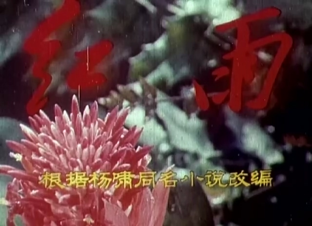红雨.Hong Yu.1975.DVD.X264.AAC.mkv_20250618_180119.281.jpg
