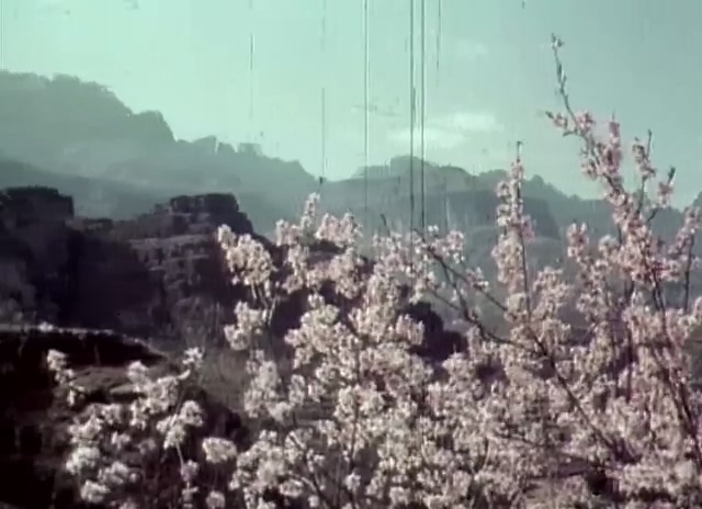 红雨.Hong Yu.1975.DVD.X264.AAC.mkv_20250618_180138.891.jpg