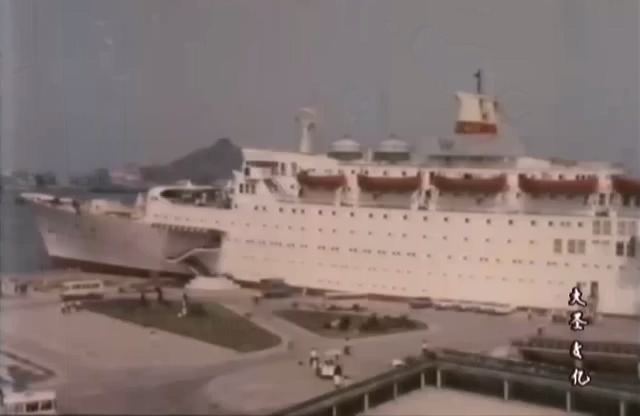 绞索下的交易.Bargain Under the Noose.1985.DVD.X264.AAC.HALFCD.mkv_20250618_182414.402.jpg