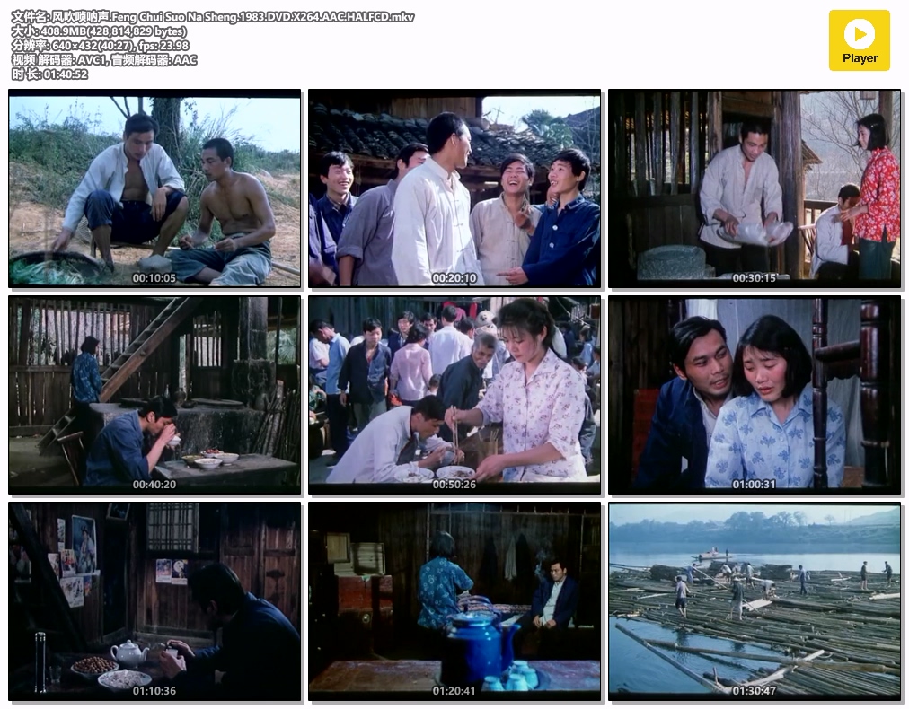风吹唢呐声.Feng Chui Suo Na Sheng.1983.DVD.X264.AAC.HALFCD.mkv.jpg