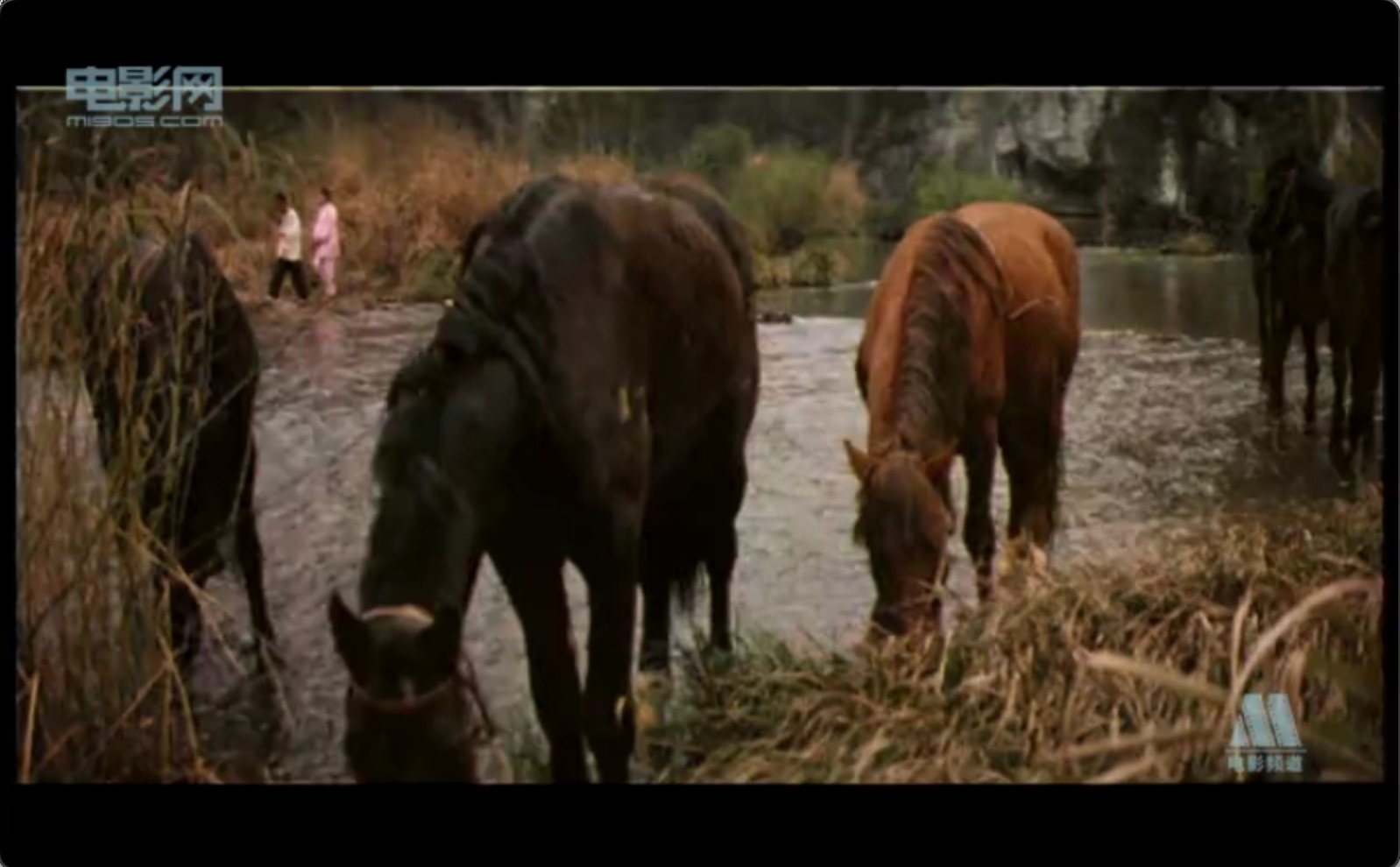 截屏2025-06-19 15.00.01.jpeg