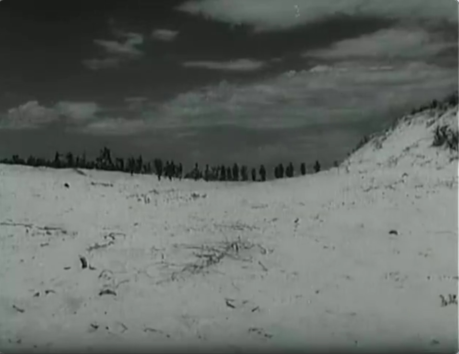 截屏2025-06-20 22.32.33.jpeg