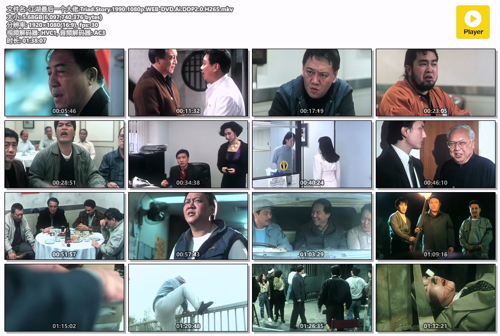 江湖最后一个大佬.Triad.Story.1990.1080p.WEB-DVD.Ai.DDP2.0.H265.mkv.jpg