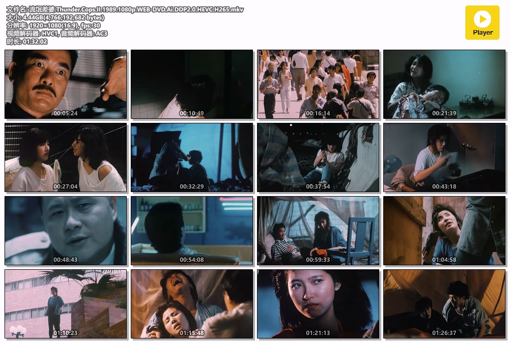 流氓差婆.Thunder.Cops.II.1989.1080p.WEB-DVD.Ai.DDP2.0.HEVC.H265.mkv.jpg