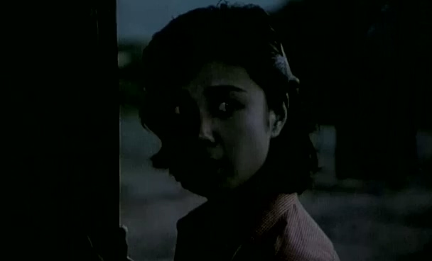 贞女.Two virtuous women.1987.DVD.X264.AAC.mkv_20250623_181852.190.jpg