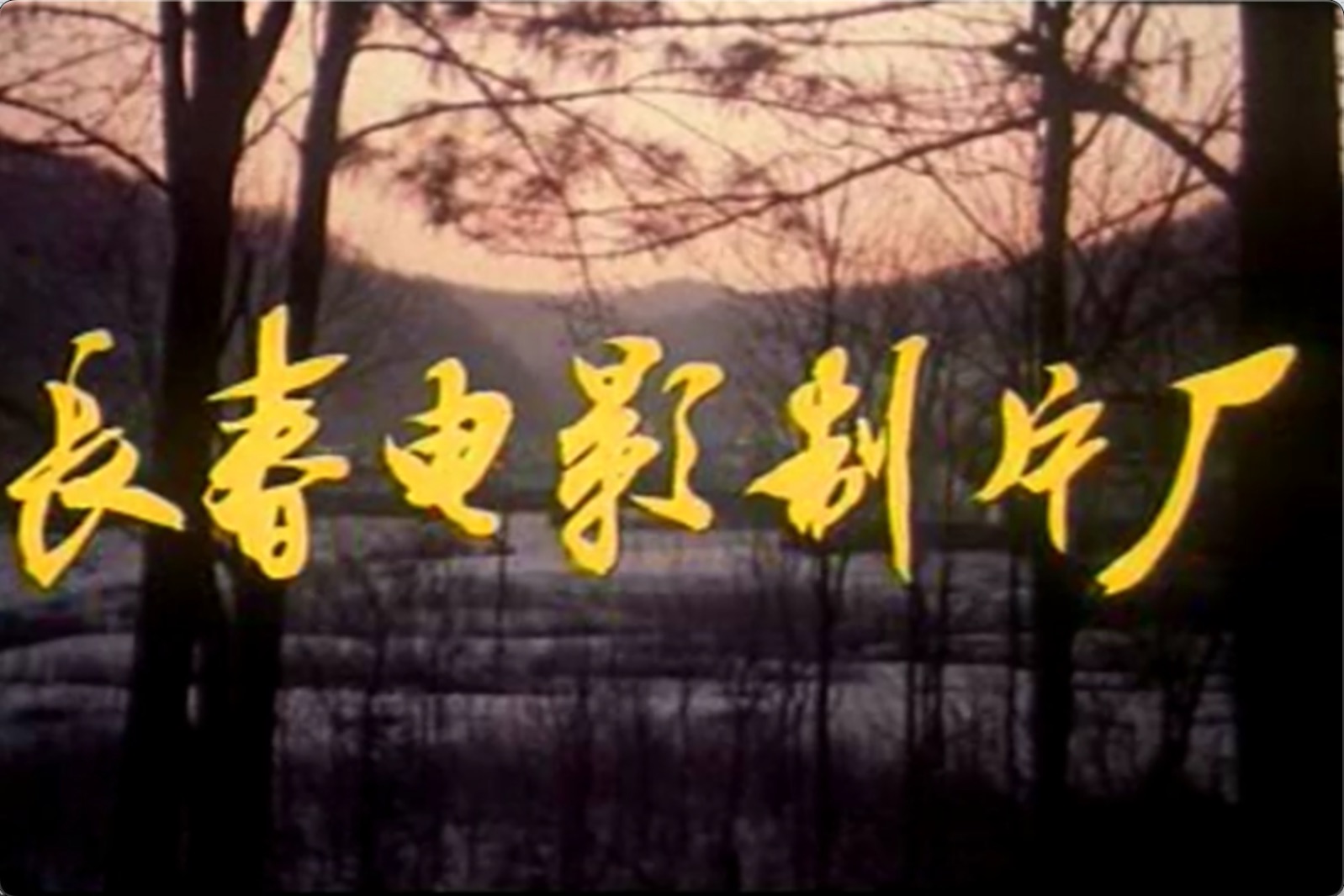 截屏2025-06-27 16.59.42.jpeg