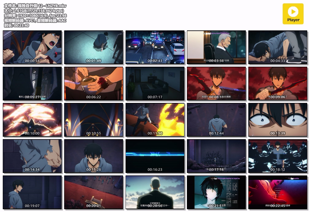 我独自升级 12 - LNZYB.mkv.jpg 我独自升级 12 - LNZYB.mkv.jpg