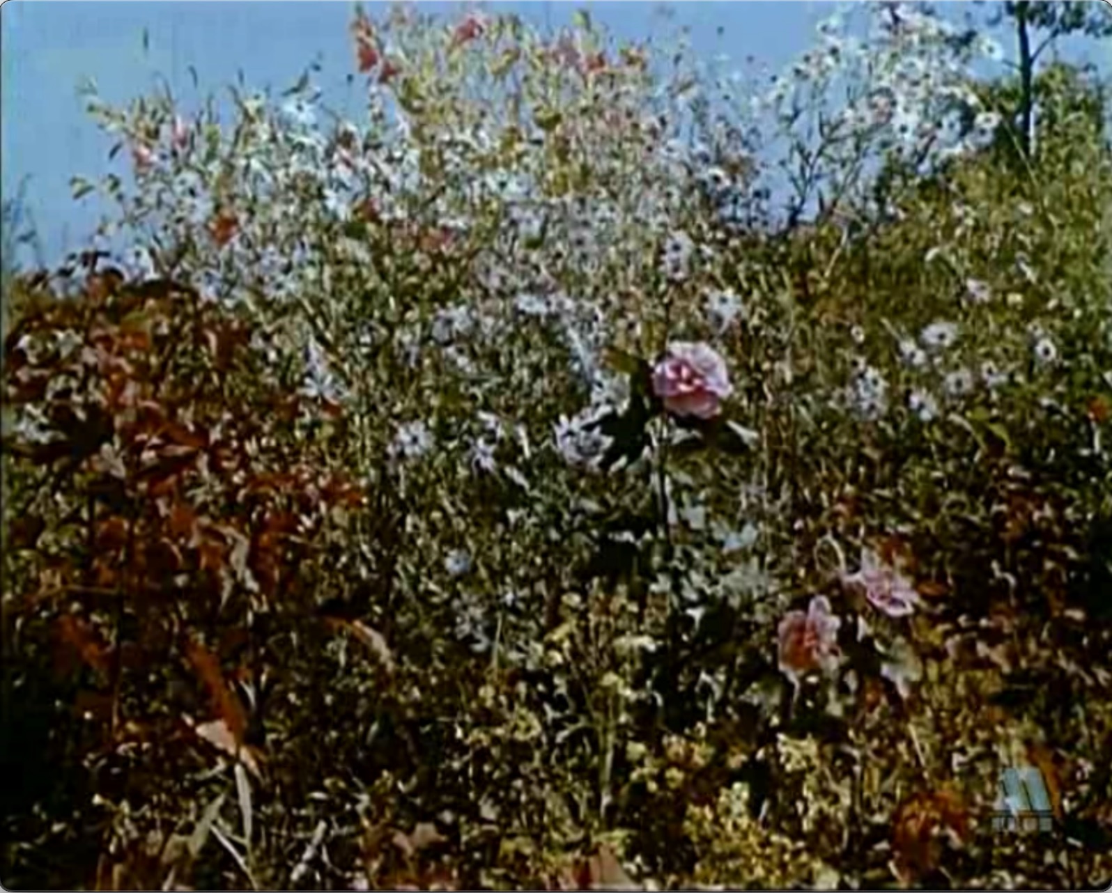 截屏2025-06-28 19.00.13.jpeg