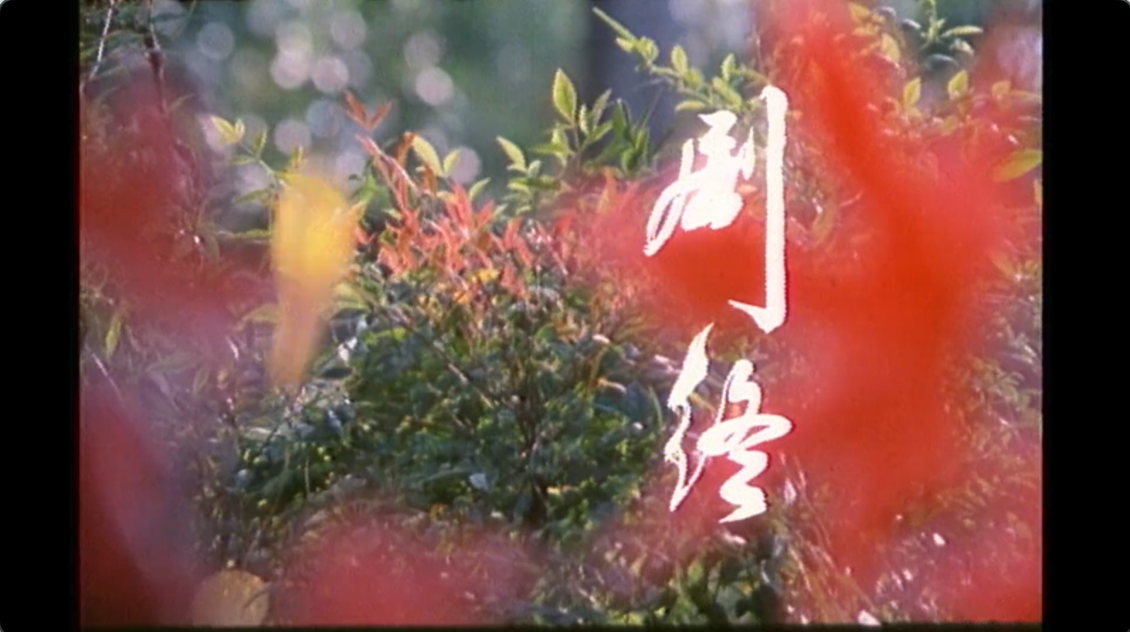 截屏2025-06-28 19.38.38.jpeg