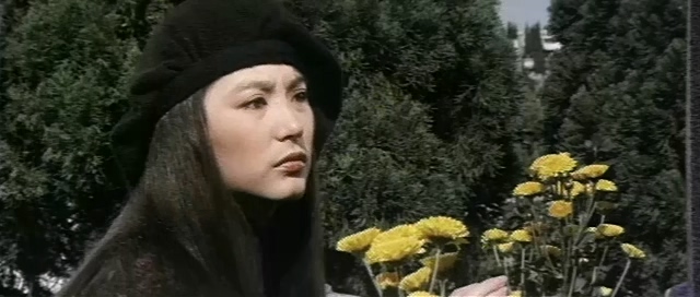 雁儿在林梢.The Wild Goose on the Wing.1979.DVD.X264.AAC.HALFCD.mkv_20250629_192926.106.jpg