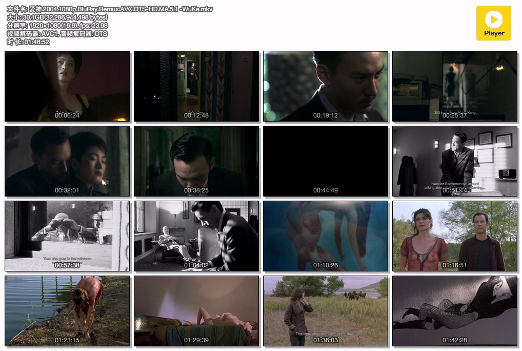 爱神.2004.1080p.BluRay.Remux.AVC.DTS-HD.MA.5.1 -WuKe.mkv.jpg