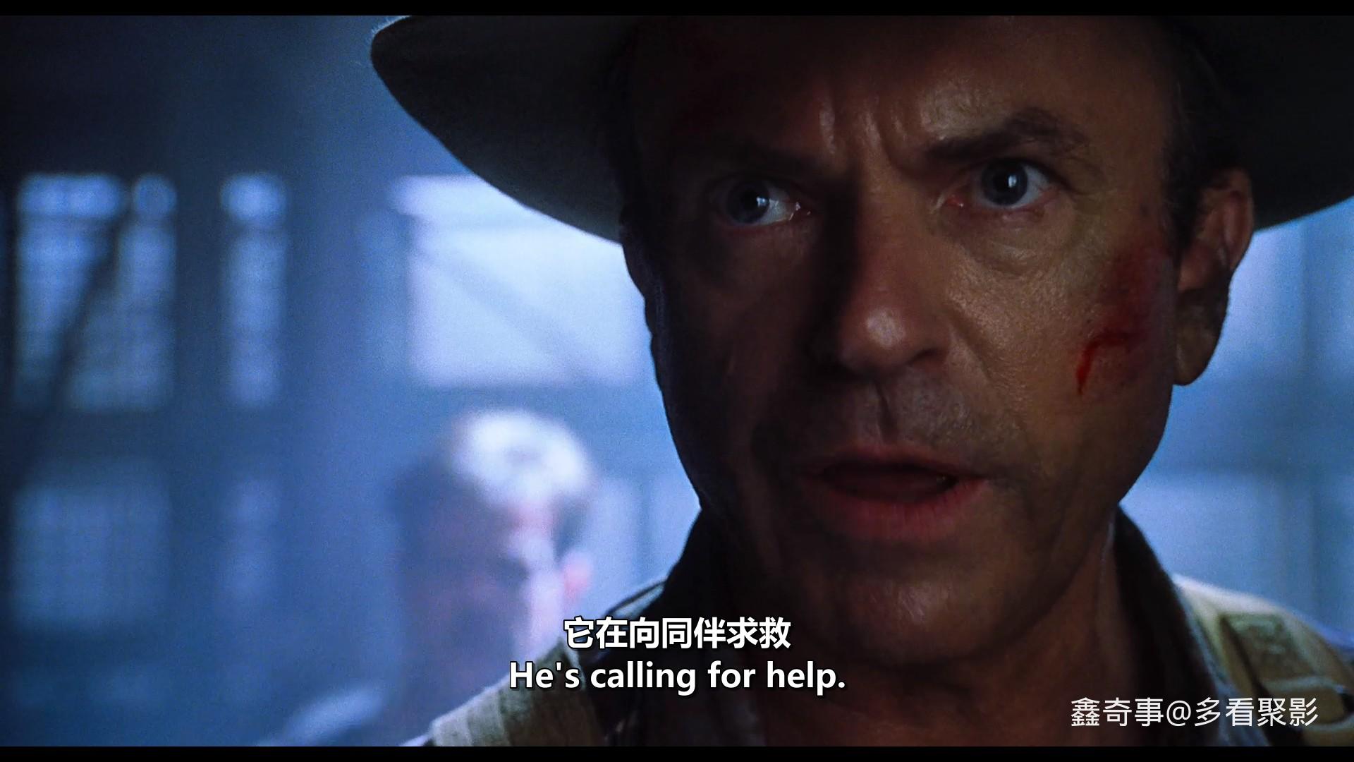650c6e01-1caa-432c-8237-06b4efed75f8.jpg