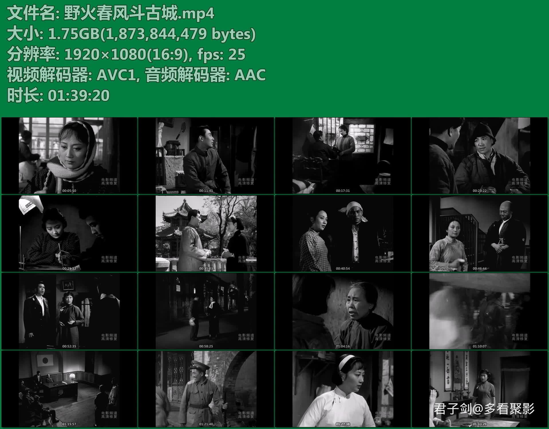 野火春风斗古城.mp4.jpg 野火春风斗古城.mp4.jpg