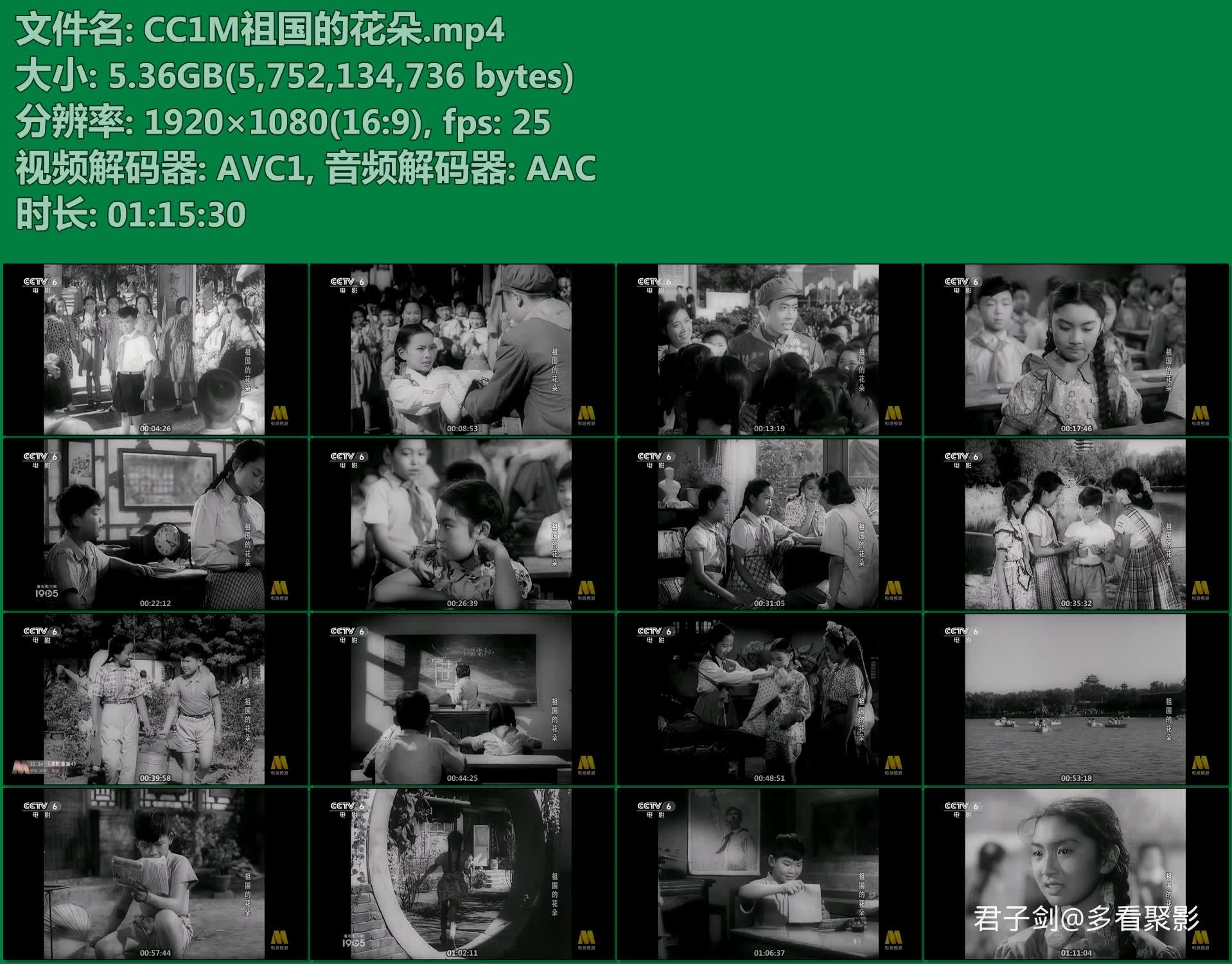 CC1M祖国的花朵.mp4.jpg CC1M祖国的花朵.mp4.jpg