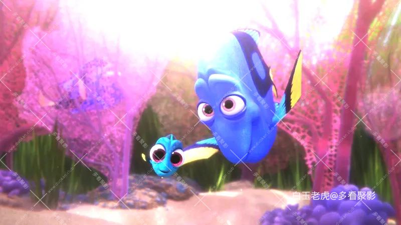 海底总动员2：多莉去哪儿[国粤英多音轨 简繁英字幕].Finding.Dory.2016.UHD.BluRay.21.webp