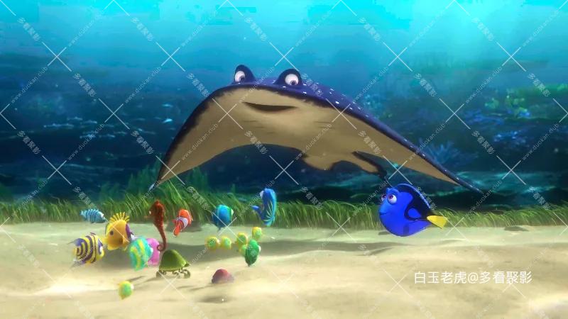 海底总动员2：多莉去哪儿[国粤英多音轨 简繁英字幕].Finding.Dory.2016.UHD.BluRay.21.webp