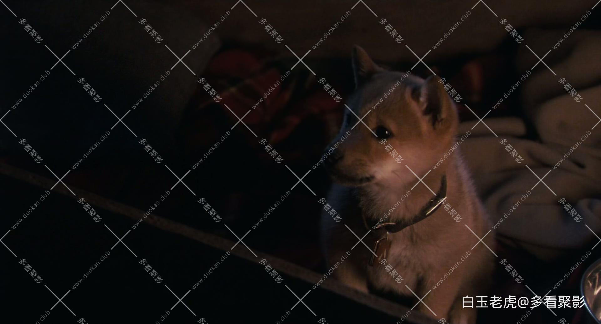 Hachi.A.Dog&#039;s.Tale.2009.1080p.Bluray.DTS-HD.MA.5.1.x265.10bit-DreamHD.mkv_2.jpg