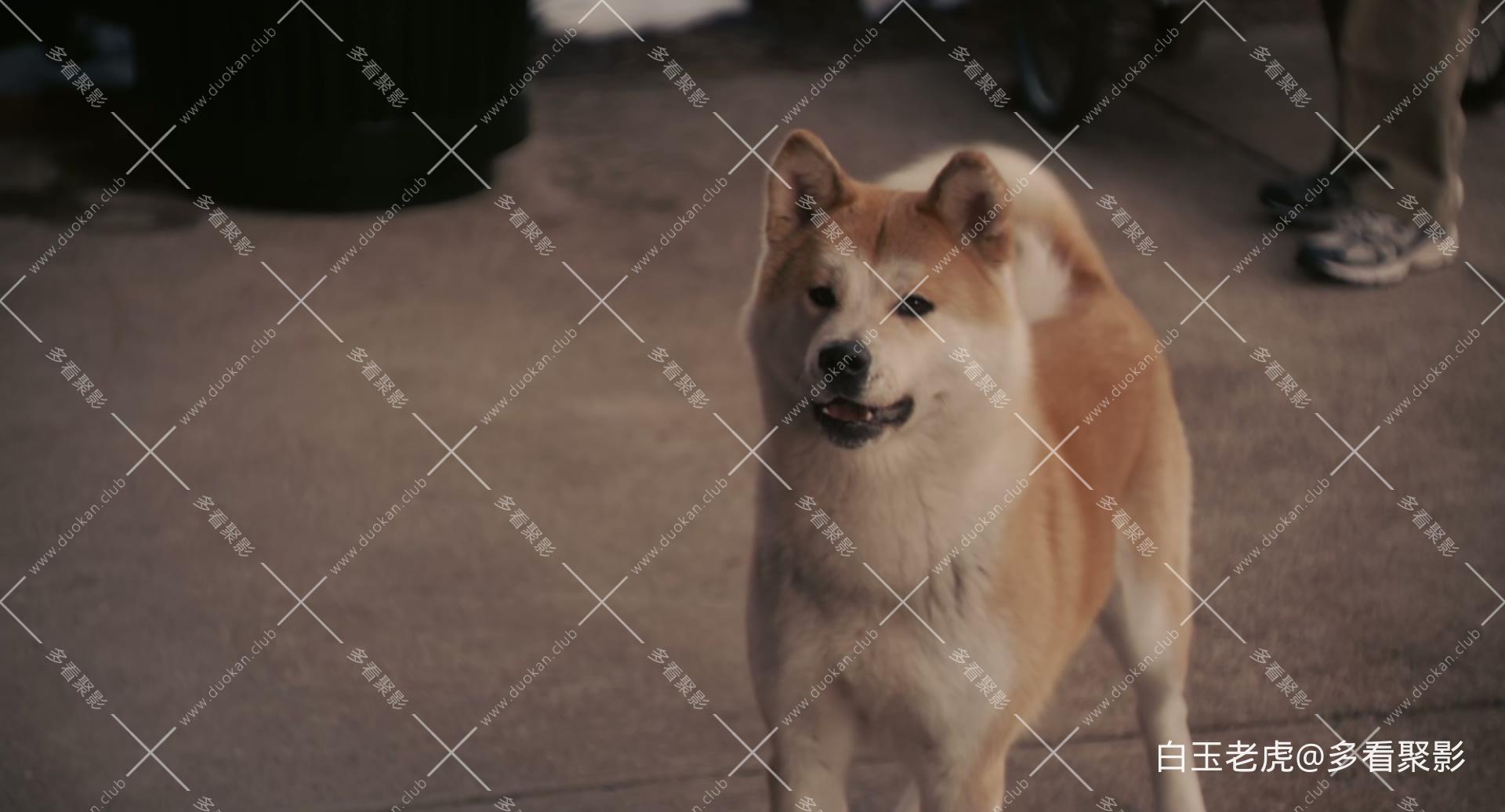 Hachi.A.Dog&#039;s.Tale.2009.1080p.Bluray.DTS-HD.MA.5.1.x265.10bit-DreamHD.mkv_2.jpg