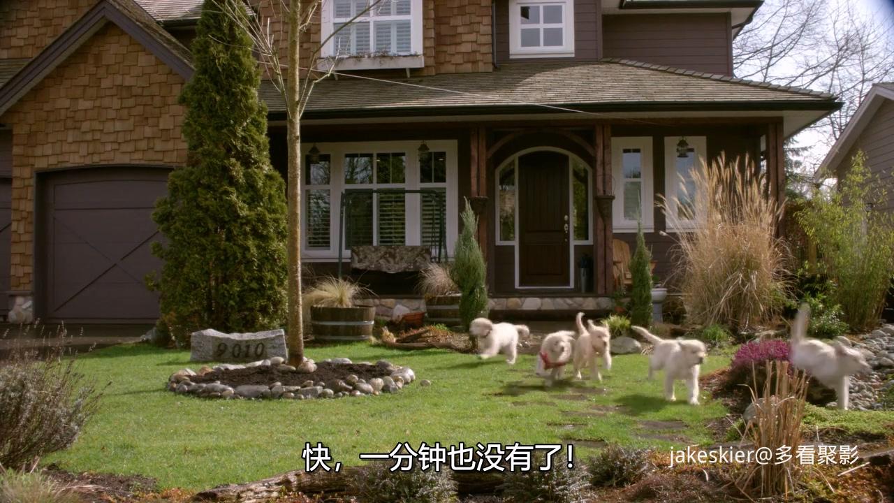 2009.太空巴迪(84分钟).720P.上译粤英中字.mkv_20250927_000613.848.jpg