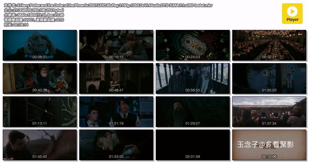 5.Harry.Potter.and.the.Order.of.the.Phoenix.2007.UHD.BluRay.2160p.10bit.DoVi.4Au.jpg