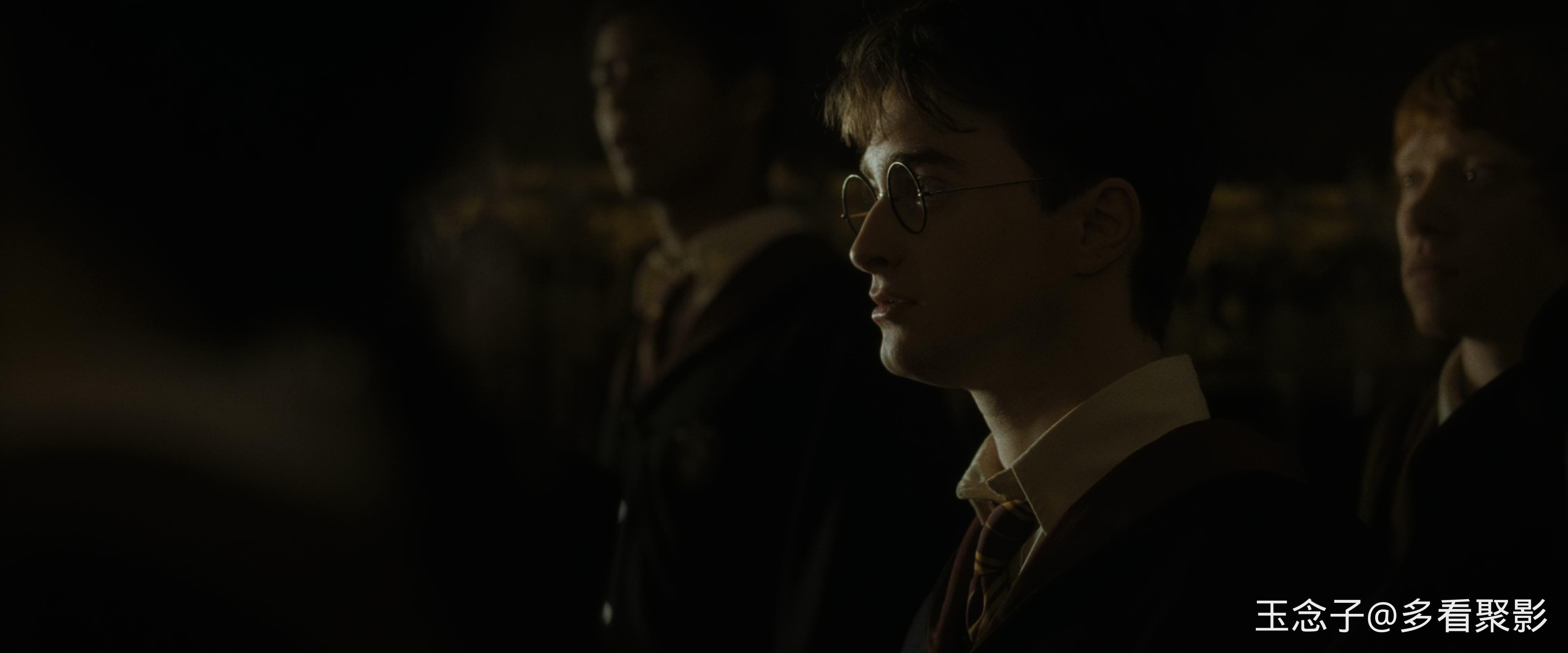 6.Harry.Potter.and.the.Half-Blood.Prince.2009.UHD.BluRay.2160p.10bit.DoVi.4Audio.jpg