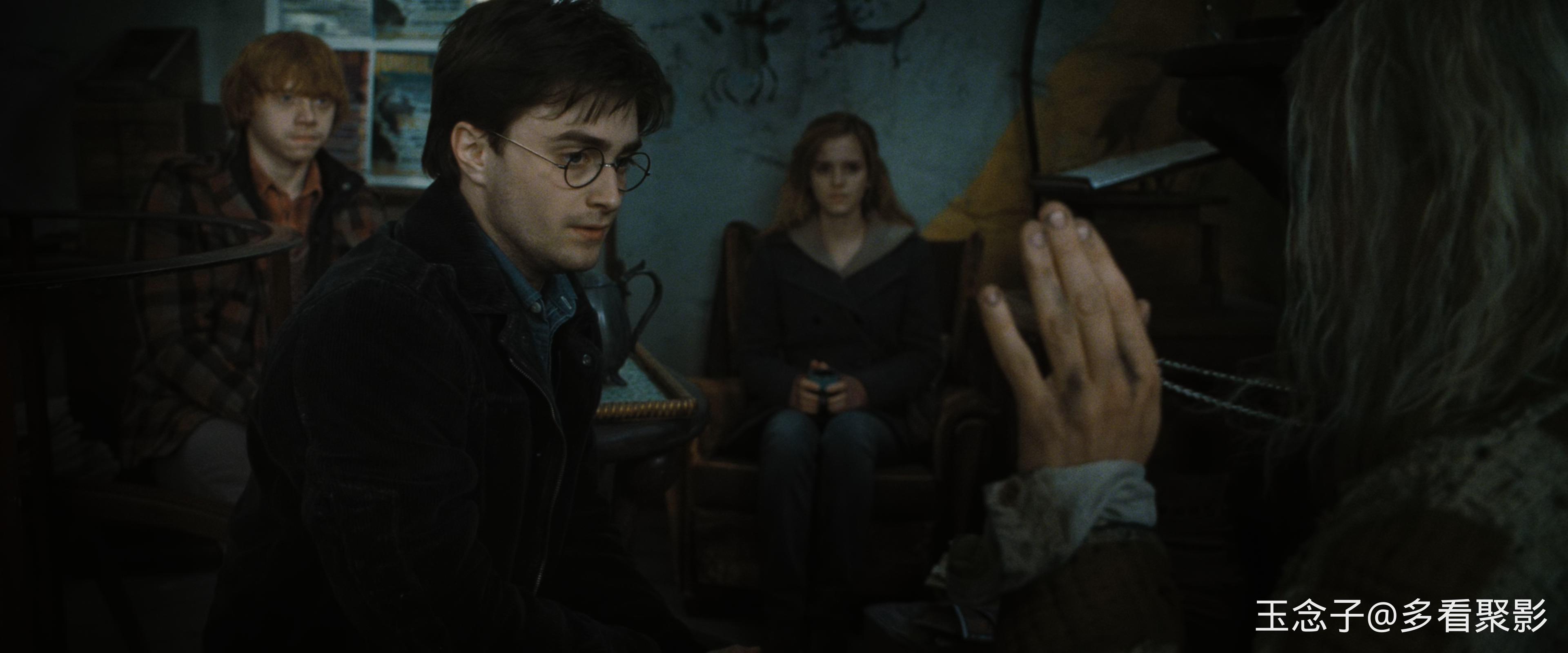 7.Harry.Potter.and.the.Deathly.Hallows-Part.1.2010.UHD.BluRay.2160p.10bit.DoVi.4.jpg