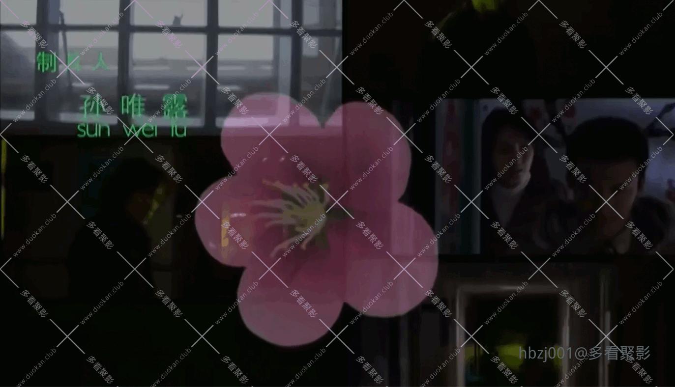 QQ截图20251005080618 (1).png