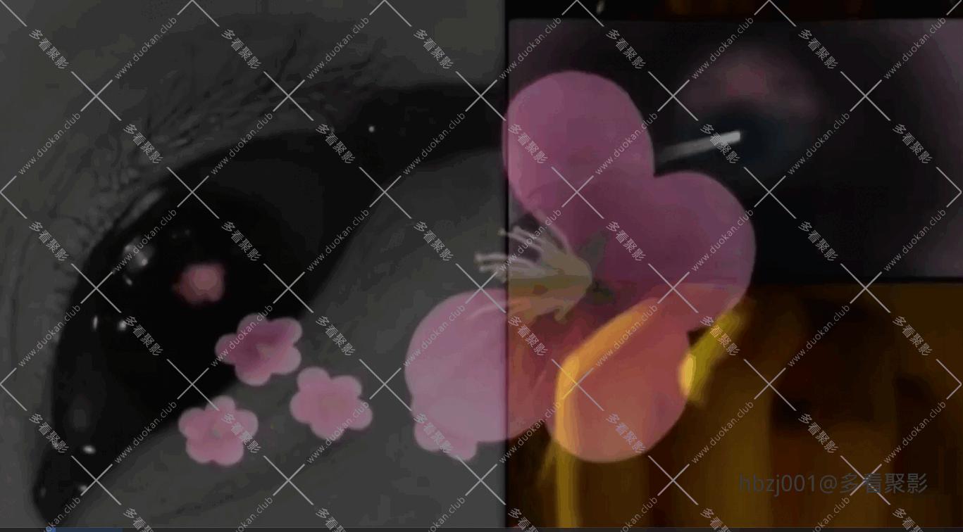 QQ截图20251005080632 (1).png