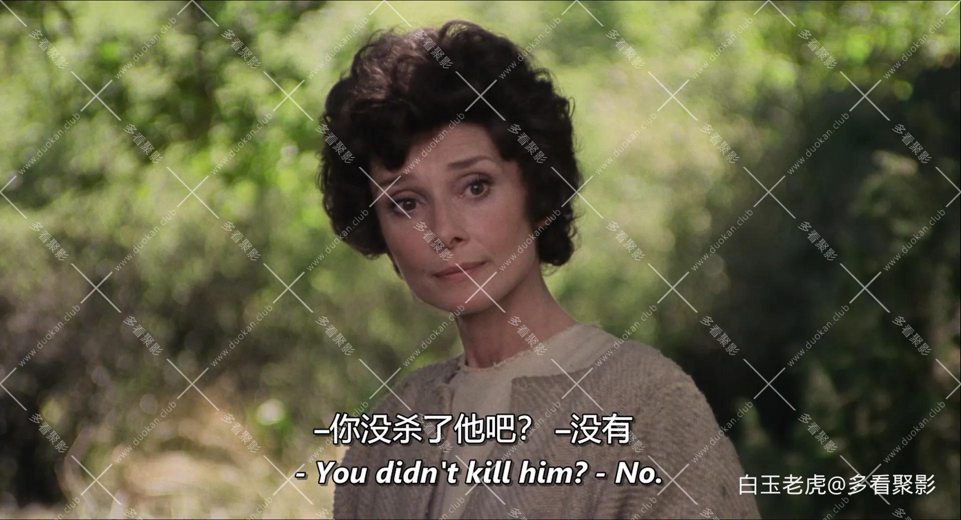 Robin.and.Marian.1976.1080p.BluRay.x264-SiNNERS -bylh.mkv_20251005_135729.809.webp