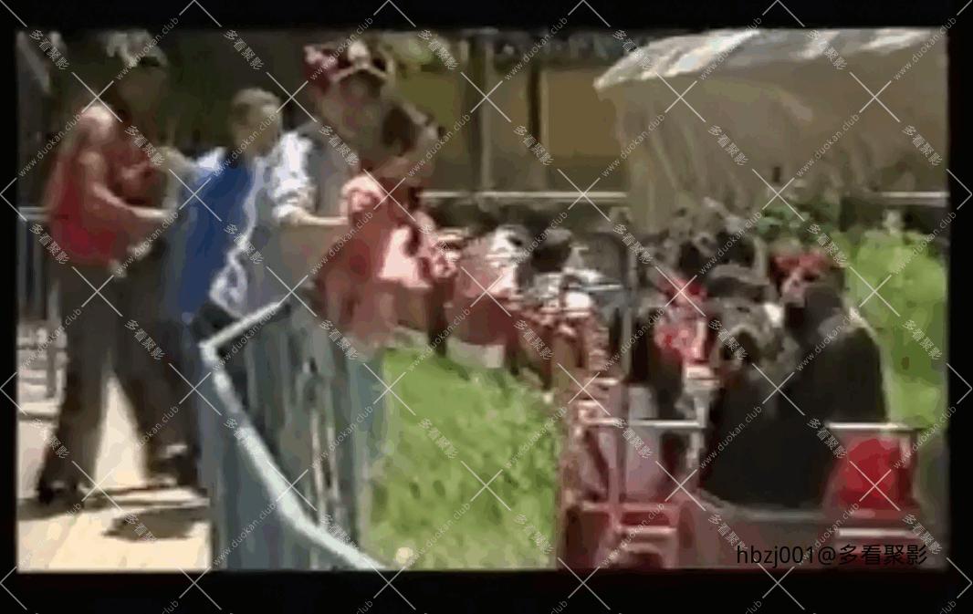 QQ截图20251006082524 (1).png