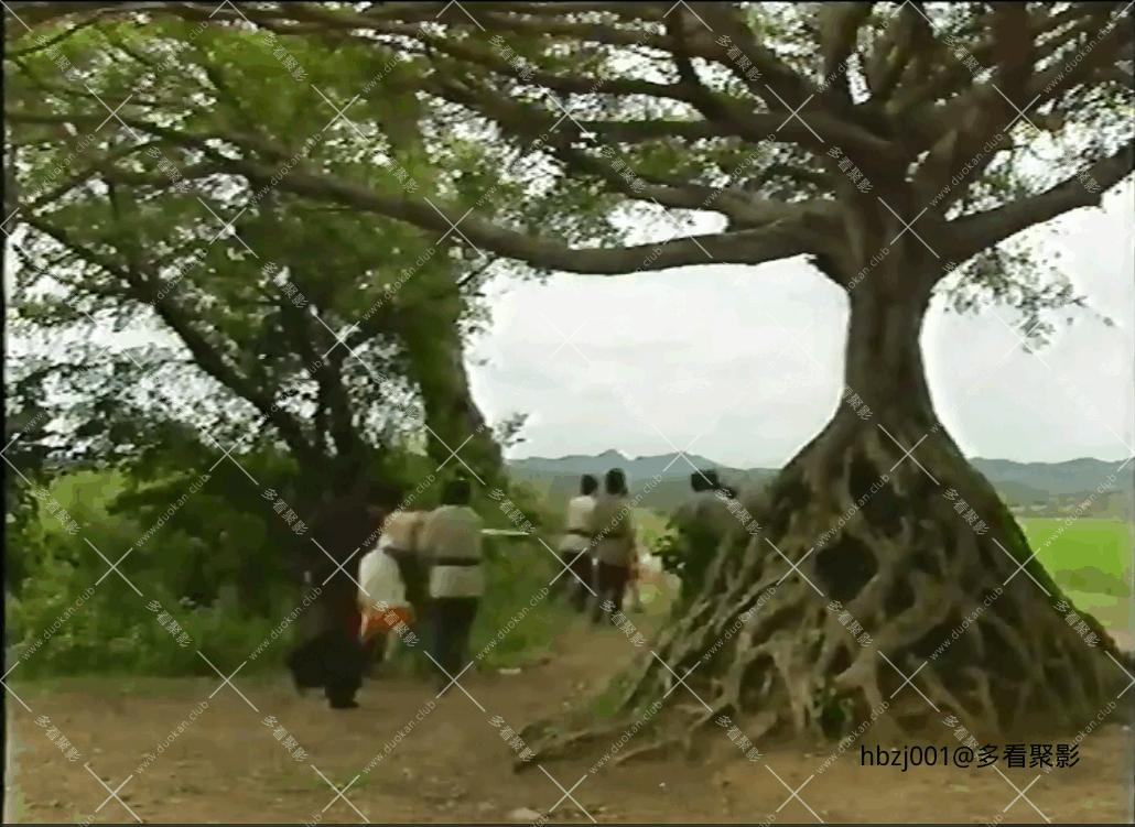 QQ截图20251006073938 (1).png