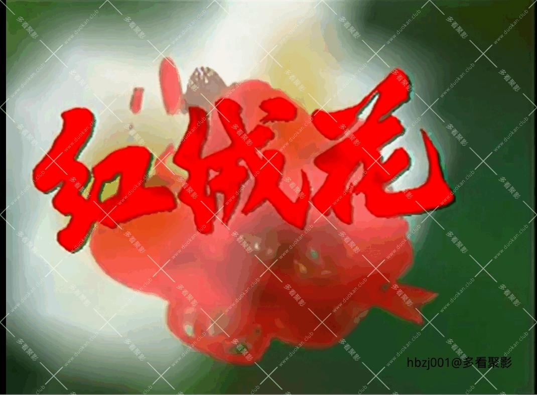 QQ截图20251006083352 (1).png