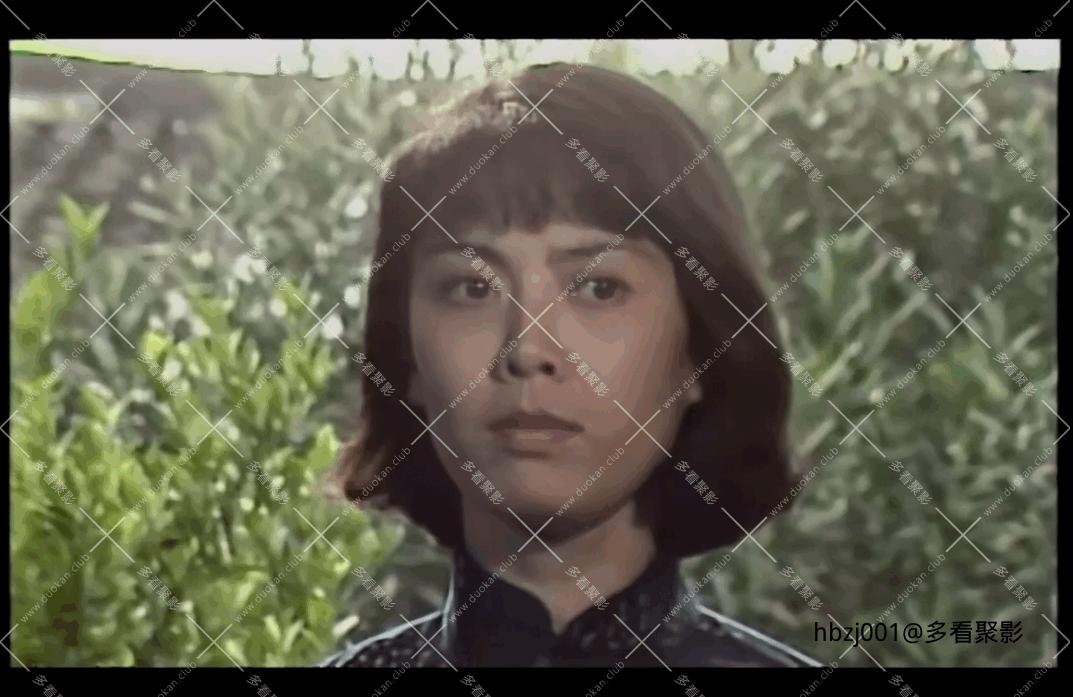 QQ截图20251007080722 (1).png