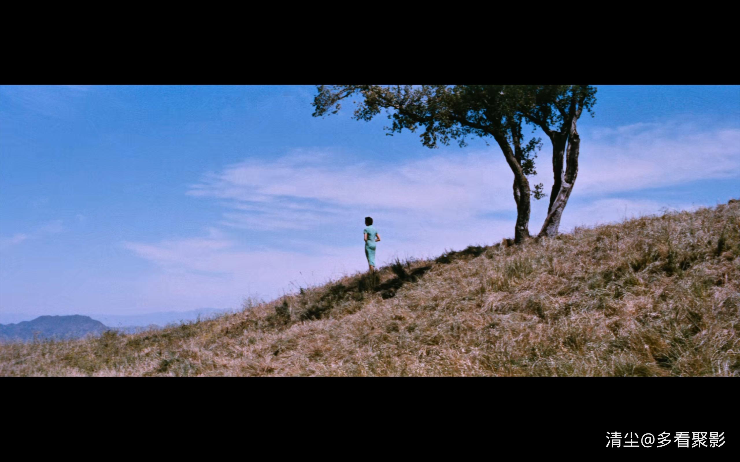 1955 生死恋 Love Is a Many-Splendored Thing.mkv_20251019_161251.648.jpg