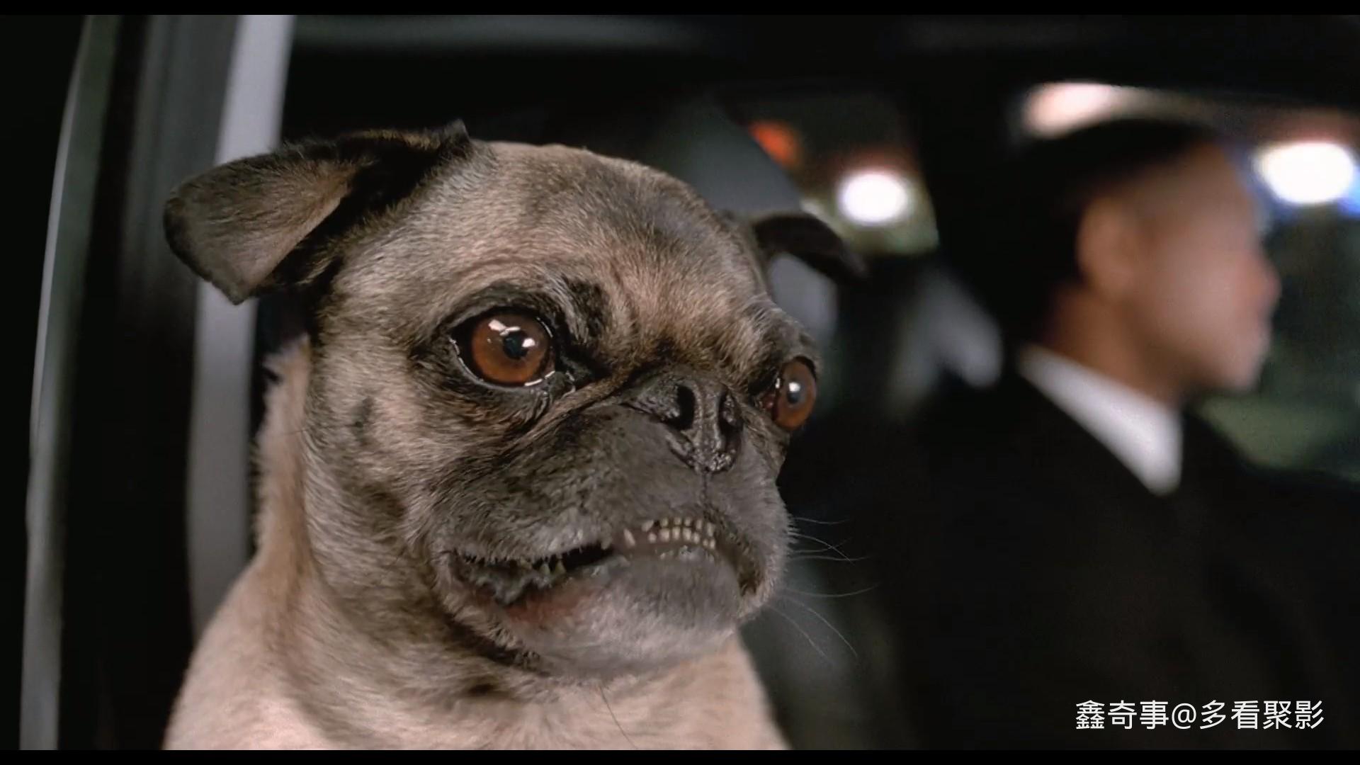 b3812dc6-00f4-4888-993e-66efebf9b83e.jpg b3812dc6-00f4-4888-993e-66efebf9b83e.jpg