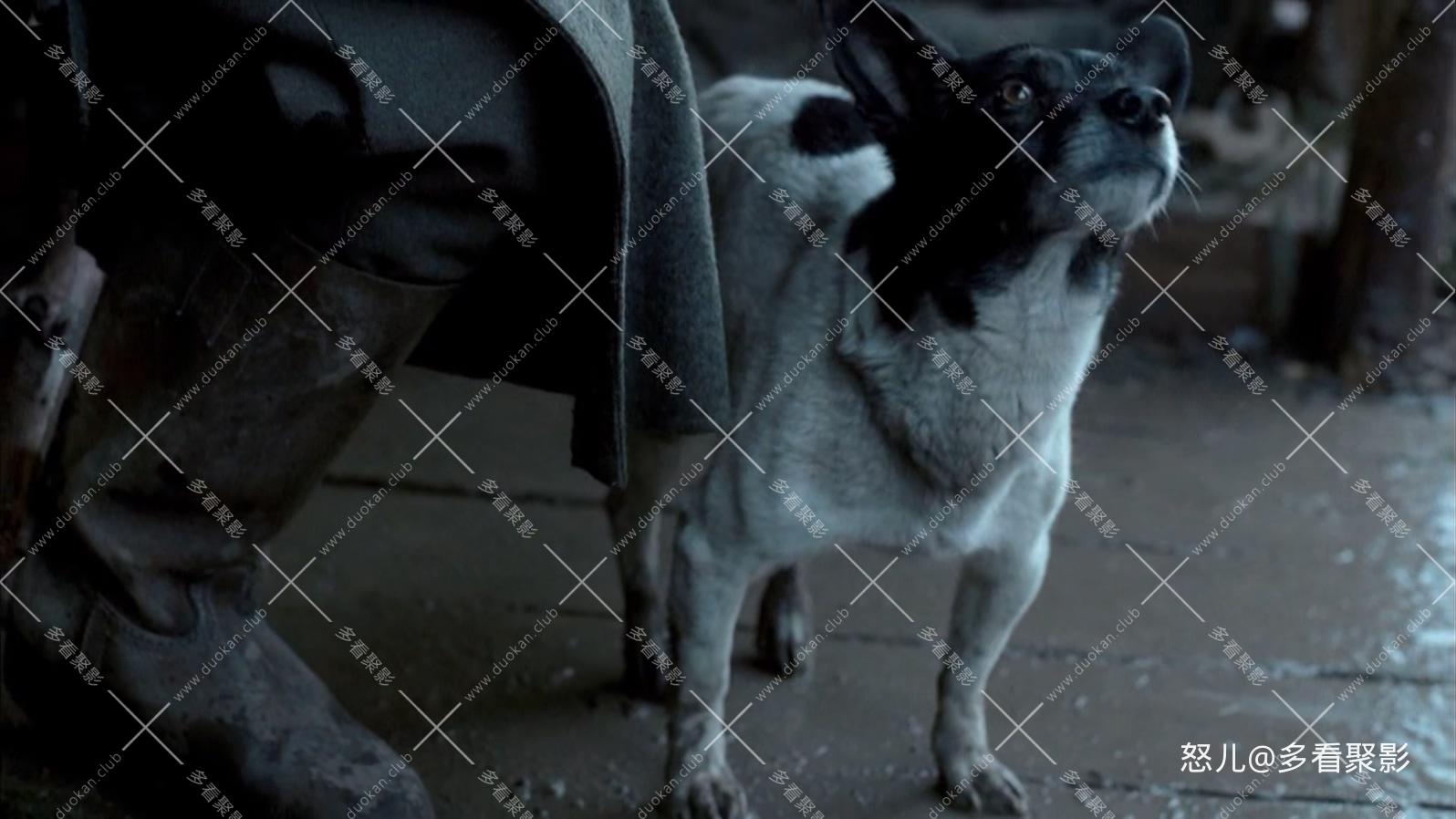 希特勒:恶魔的崛起Hitler.The.Rise.of.Evil.2003.BRRip.1080p.HEVC.x265.2audio特效.jpg 希特勒:恶魔的崛起Hitler.The.Rise.of.Evil.2003.BRRip.1080p.HEVC.x265.2audio特效.jpg