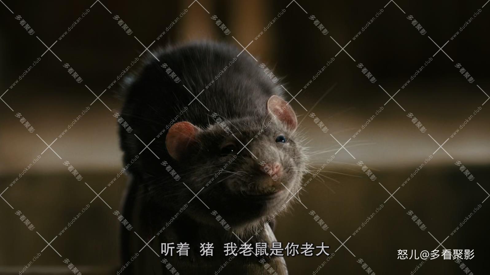 夏洛特的网.Charlottes.Web.2006.1080p.BluRay.x265.3audio-RARBG特效字幕 (1).mkv_20.jpg 夏洛特的网.Charlottes.Web.2006.1080p.BluRay.x265.3audio-RARBG特效字幕 (1).mkv_20.jpg