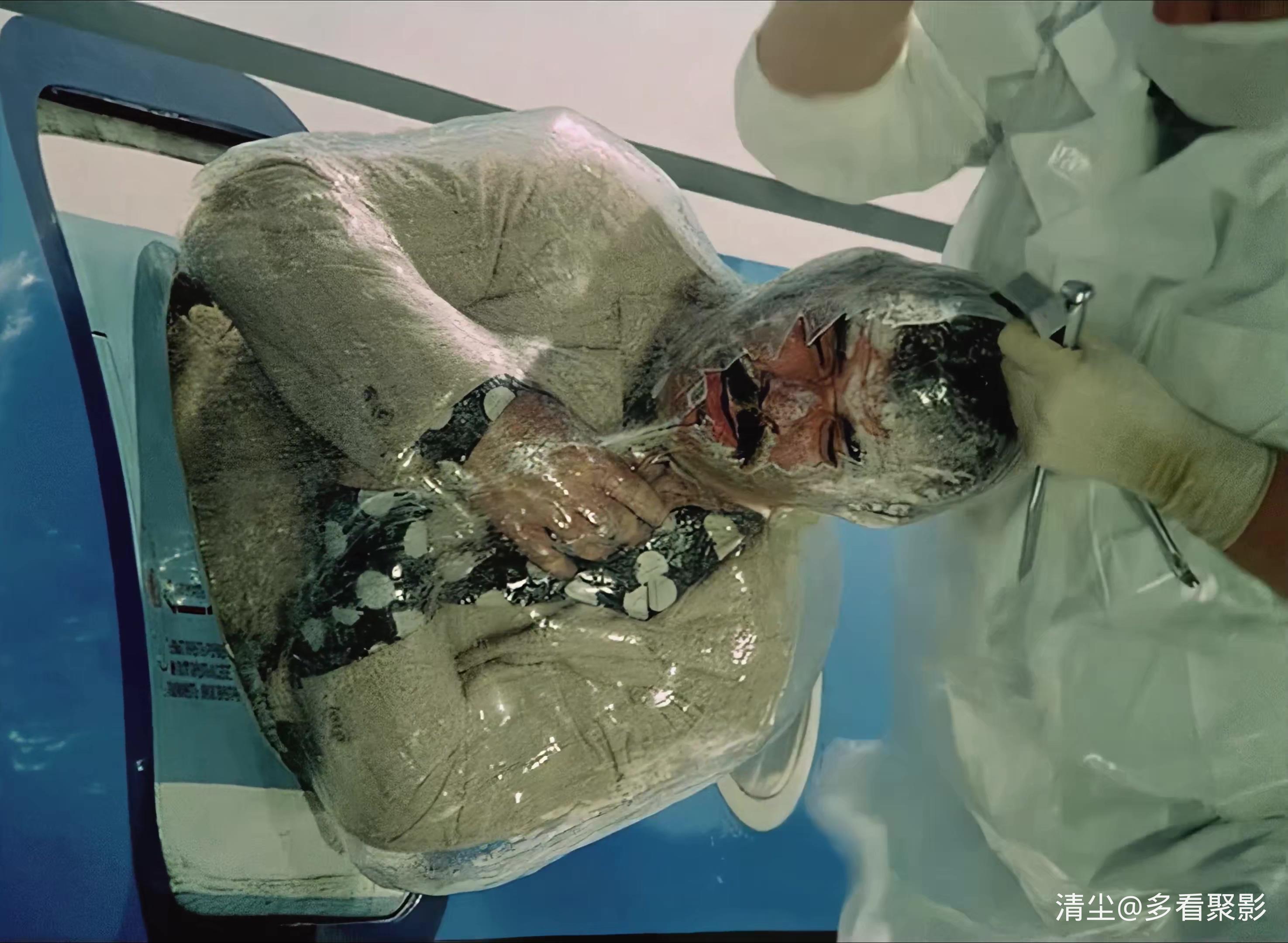 1974 意大利人在俄罗斯的奇遇 4K.mkv_20251101_131307.618.jpg