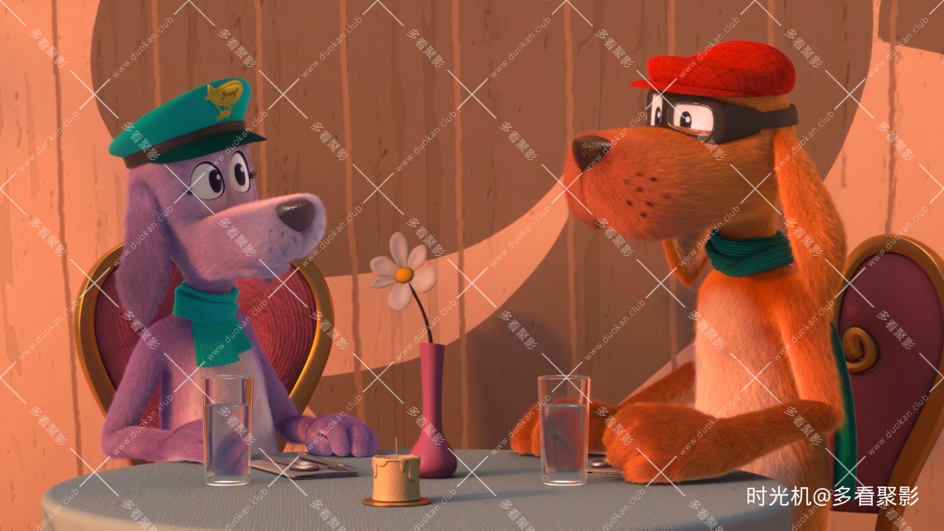 狗仔，Go！ [S02E02] - 有你真好 汪來鎮生日快樂.mkv_20251118_233452.196.jpg