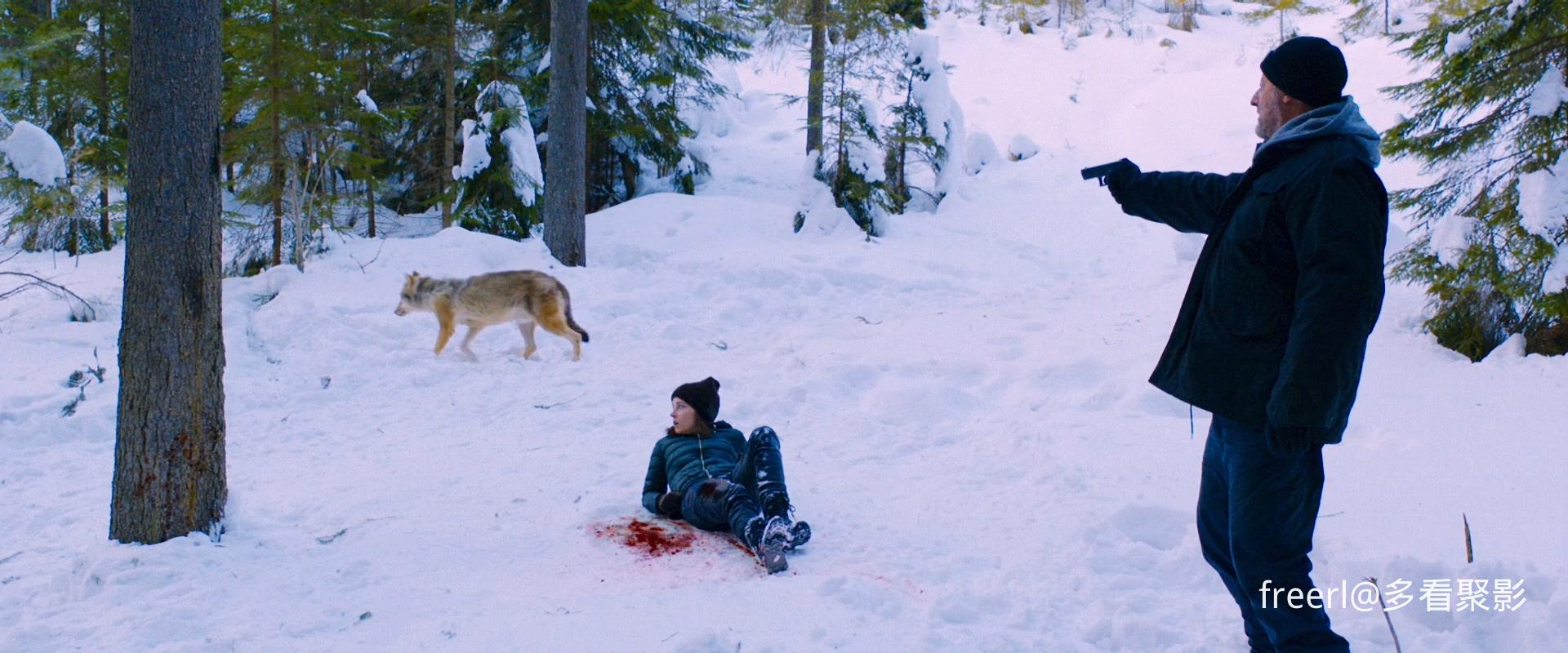 极寒风暴.Cold Blood Legacy.2019.WEBRip.1080p.国台英三语中字.mkv_20251119_200928.805.jpg