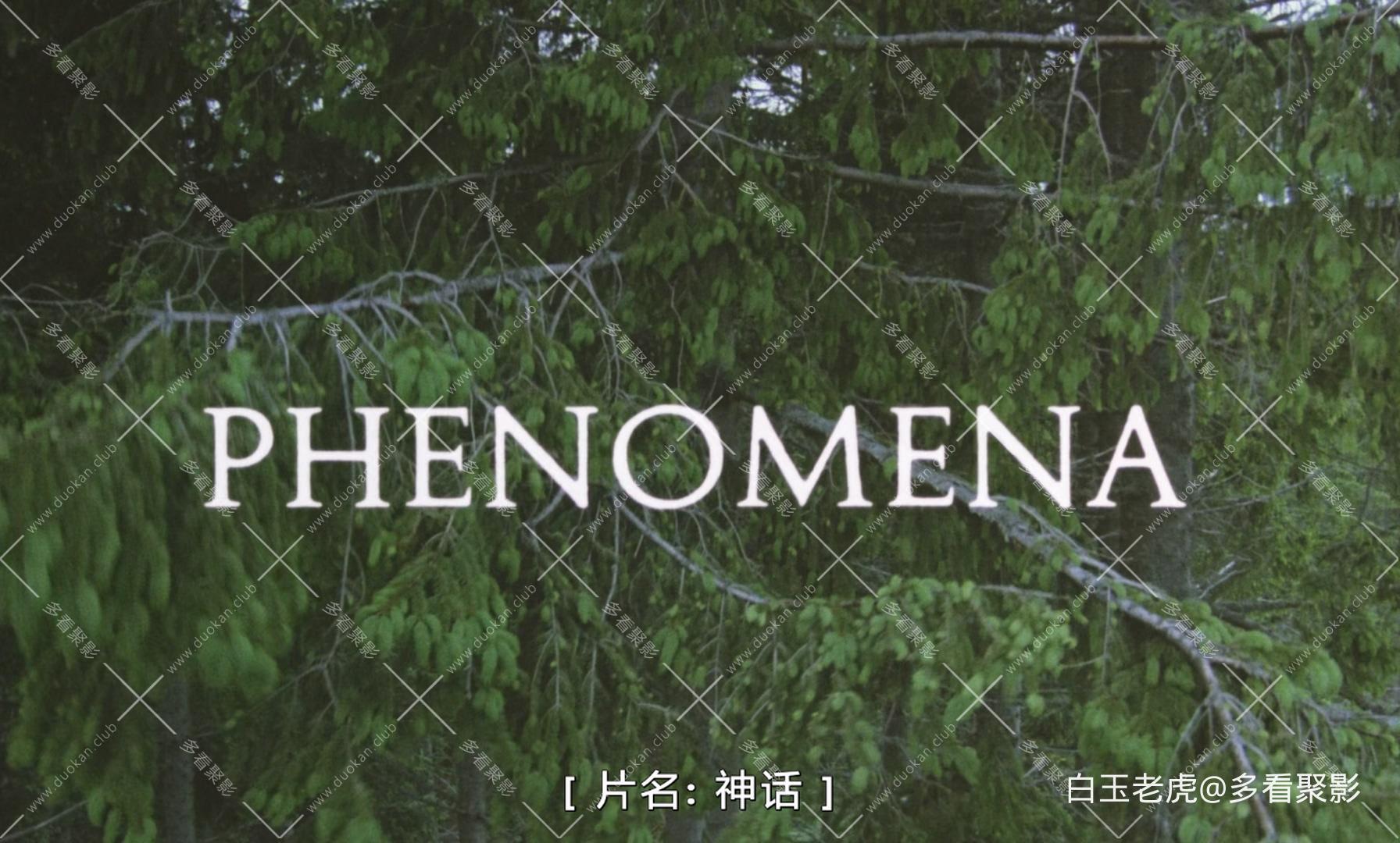 Phenomena.1985.Italian.Cut.ARROW.BluRay.1080p.DTS-HD.MA5.1.x265.10bit-ALT.mkv_20.jpg