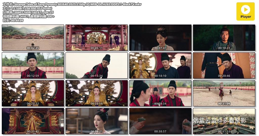 Strange.Tales.of.Tang.Dynasty.S03E40.2025.2160p.IQ.WEB-DL.H265.DDP5.1-BlackTV.mkv.jpg