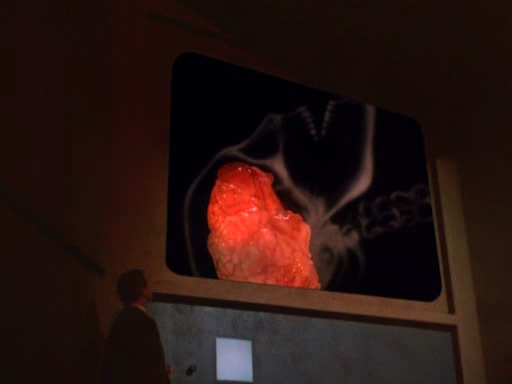 入侵者S01 (5).jpg